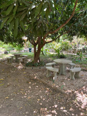 Sitio do Calango
